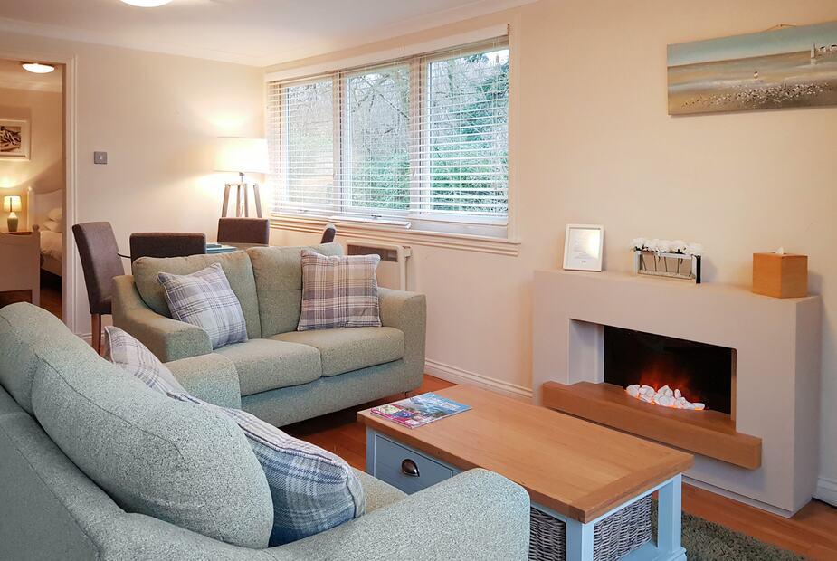 Living room with green sofa and modern built-in fireplace at Leven Lodge 3